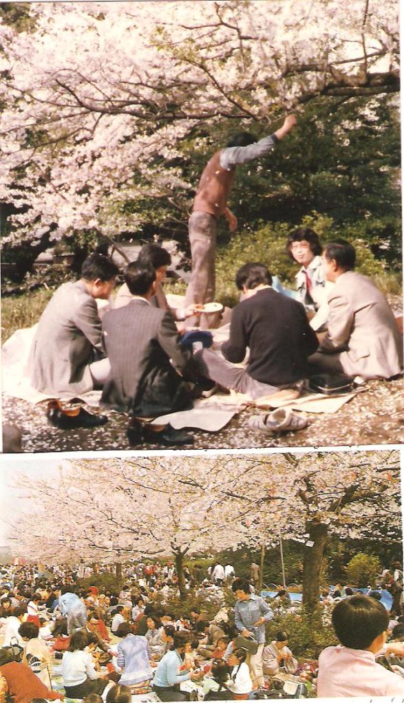 Kvaterkázás a természet lágy ölén