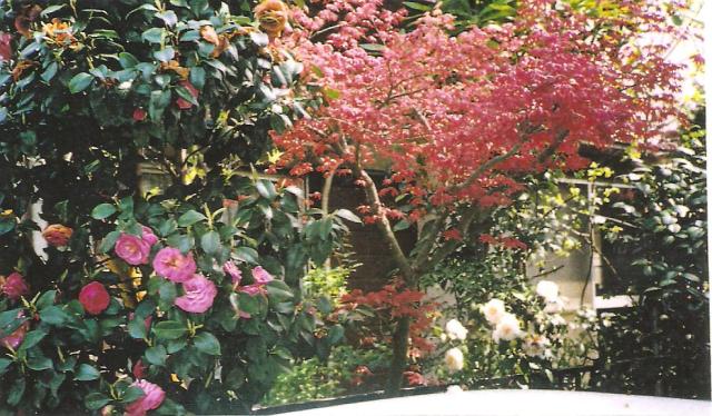 A japánok gyakran virágzó bokrokat telepítenek kertjükbe