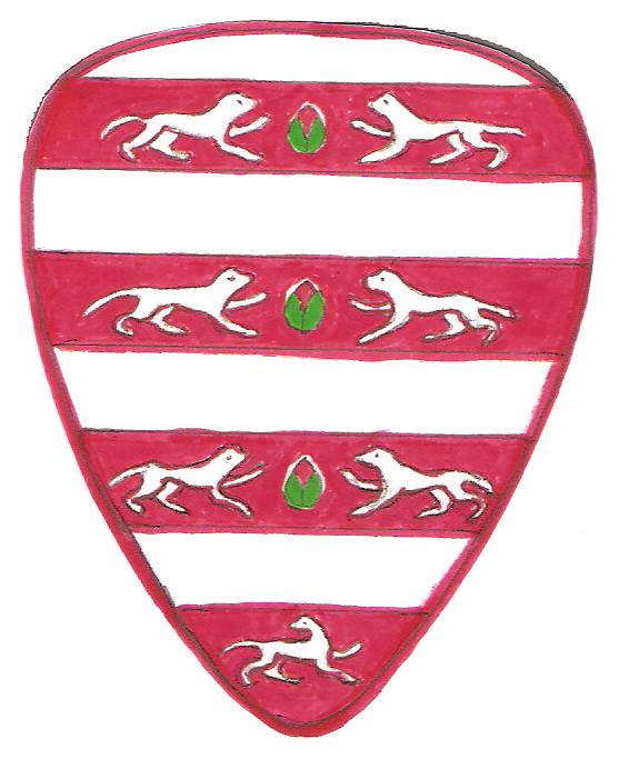 hoparducos magos pajzs